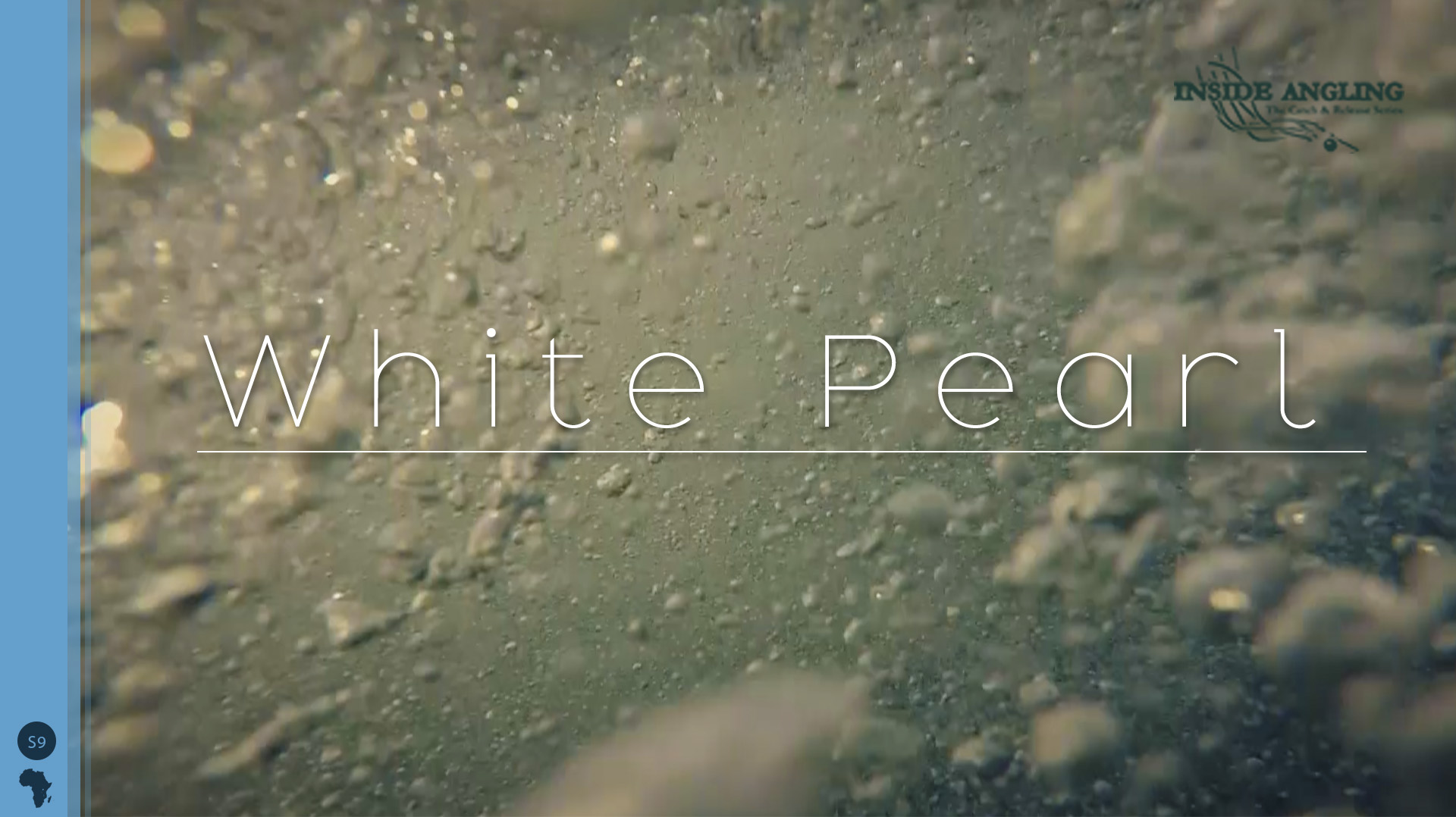 White Pearl - Fishtube TV